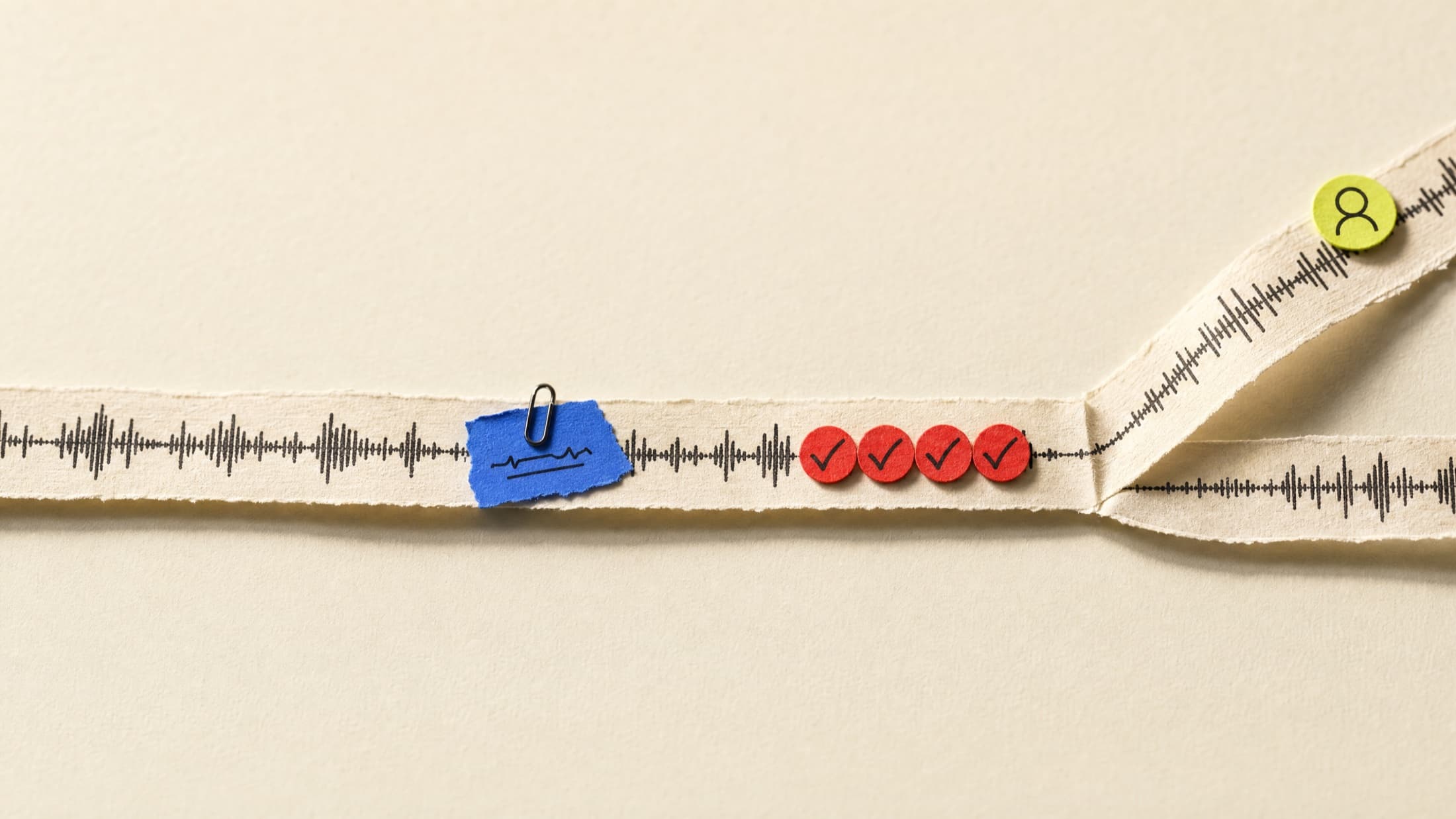 Editorial visualization of a transparent voice qualification workflow